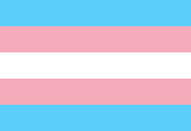 Transgender flag